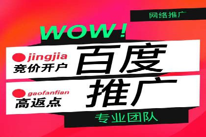 百度推广优化实战案例精选